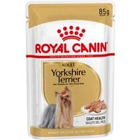 Royal Canin Yorkshire Terrier Adult Patè umido per cane - Set %: 24 x 85 g – Grigio · Uomo