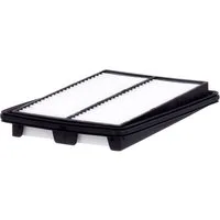 MANN-FILTER Filtro aria Cartuccia filtro C 25 040 Filtro dell'aria,Filtro aria motore RENAULT,NISSAN,Kadjar (HA_, HL_),Koleos II (HC_)