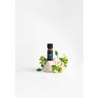 Libido Essential Oil Blend for Women 10ml – Donna