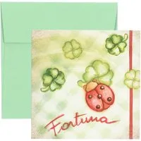 Chiudipacco "Buona fortuna"