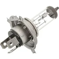 VALEO Lampade Alogeno 032007 Lampadina, Faro di profondità VW,AUDI,MERCEDES-BENZ,Polo Schrägheck (6R1, 6C1)