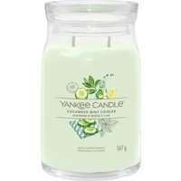 Cucumber Mint Cooler, candela in giara grande Yankee Candle – Bianco
