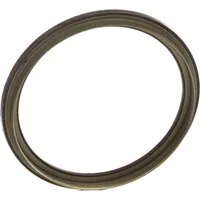 TRISCAN Anello ABS con anello sensore magnetico integrato 8540 29412 Anello Sensore ABS,Anello sensore, ABS VW,AUDI,SKODA,Golf V Schrägheck (1K1) – XL