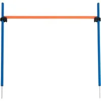 Salto ad ostacoli Agility Fun & Sport - Set salto completo
