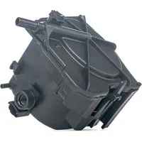 RIDEX Filtro Carburante Filtro per condotti/circuiti 9F0004 Filtro Combustibile FORD,FIAT,PEUGEOT,Fiesta Mk6 Schrägheck (JA8, JR8)