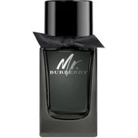 Burberry Mr. Burberry Eau de Parfum 100ML – Uomo