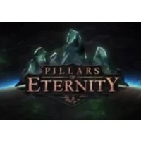 Pillars of Eternity Hero Edition + Preorder Bonus - Epic RPG