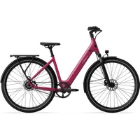 TENWAYS CGO800S, trasmissione a cinghia, Wild Berry