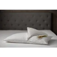 DaunenStep Cuscino con nucleo Perla Fieno