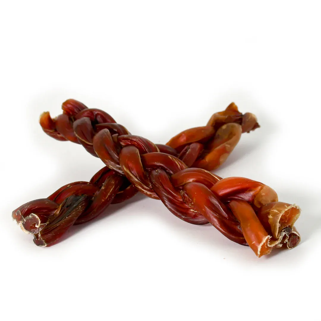 Bull Pizzle tressé (25cm big)