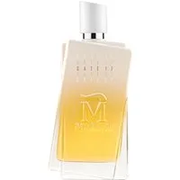 profumo morph gate17 100 ml vapo – Unisex