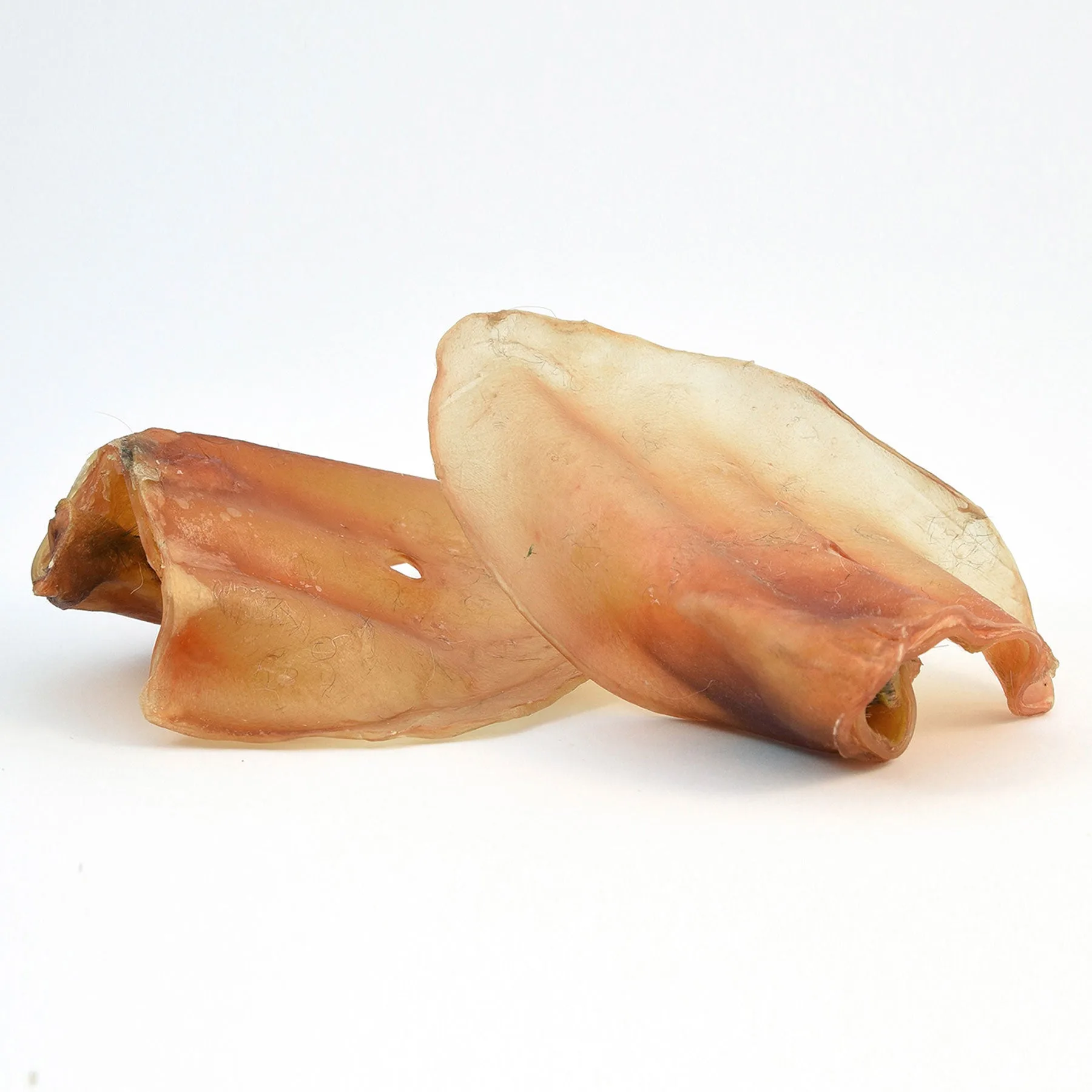 Oreilles de boeuf - 10 Stk.