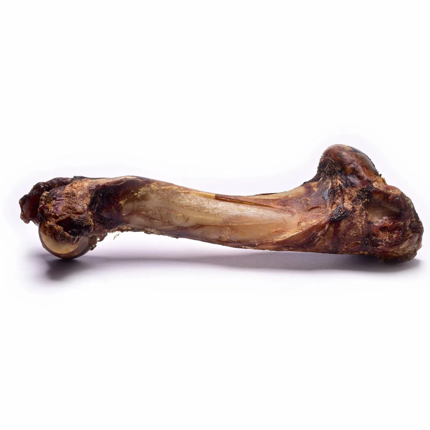 Os de cerf taille XL