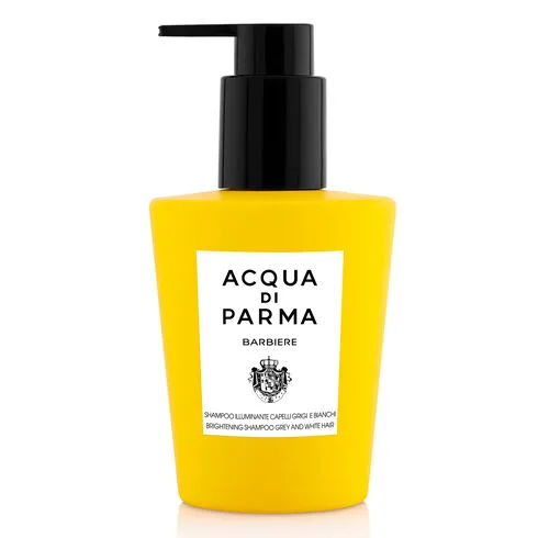 Shampoo Illuminante Capelli Grigi e Bianchi - 200ML