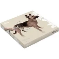 Lavaggio del mio cane