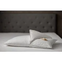 DaunenStep Cuscino con nucleo Perla Cirmolo